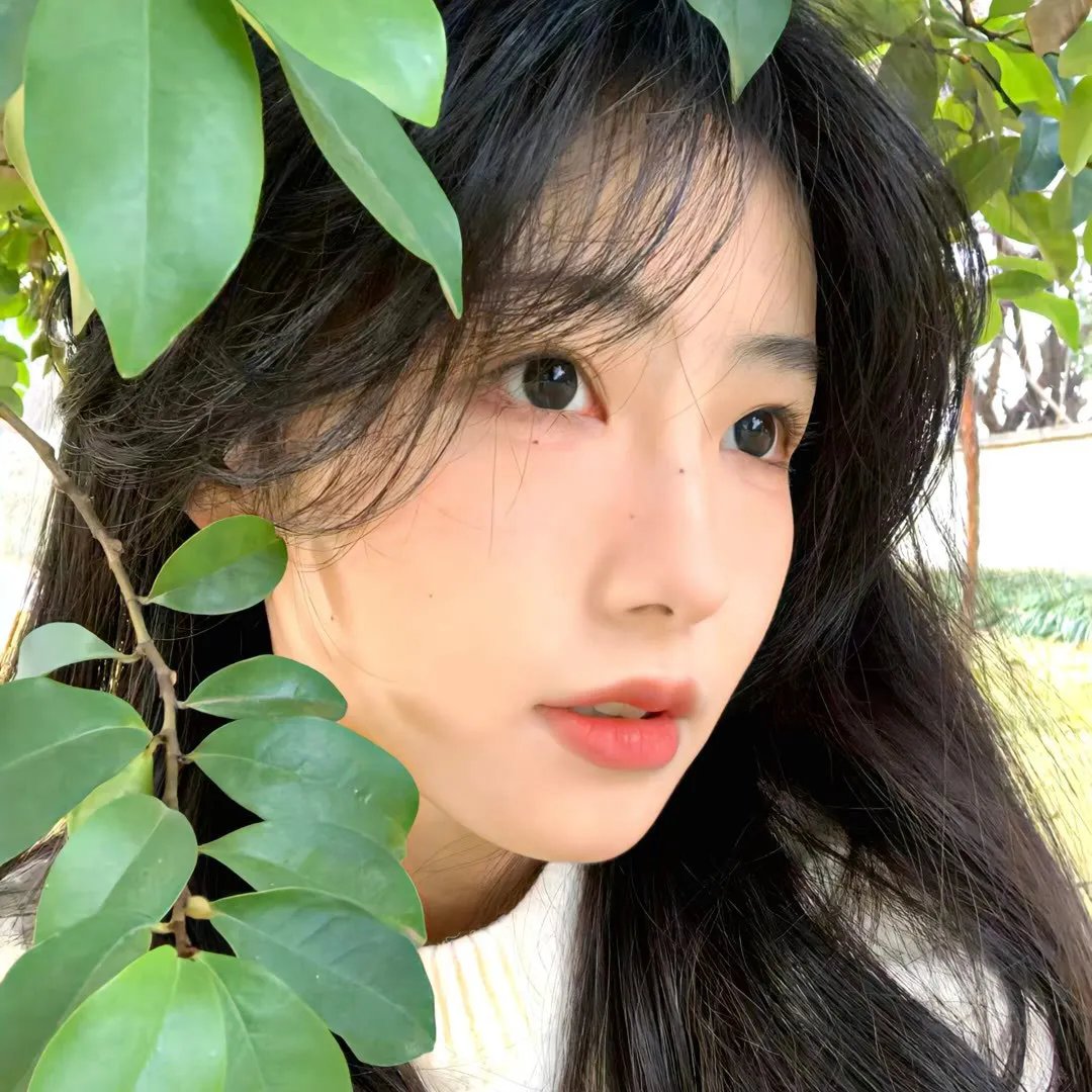 古诺希亚